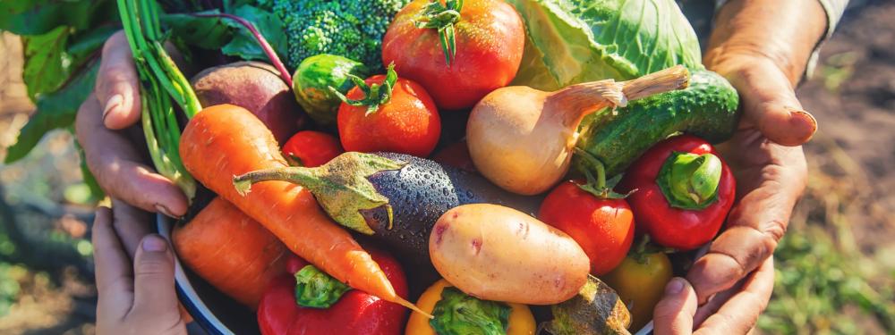 Vente fruits et légumes à Saint-Hilaire-de-Riez